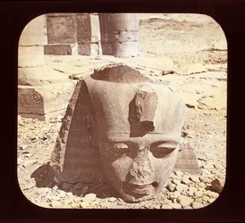 Egitto - Il Ramesseum, testa del colosso di Ramses II, Tebe